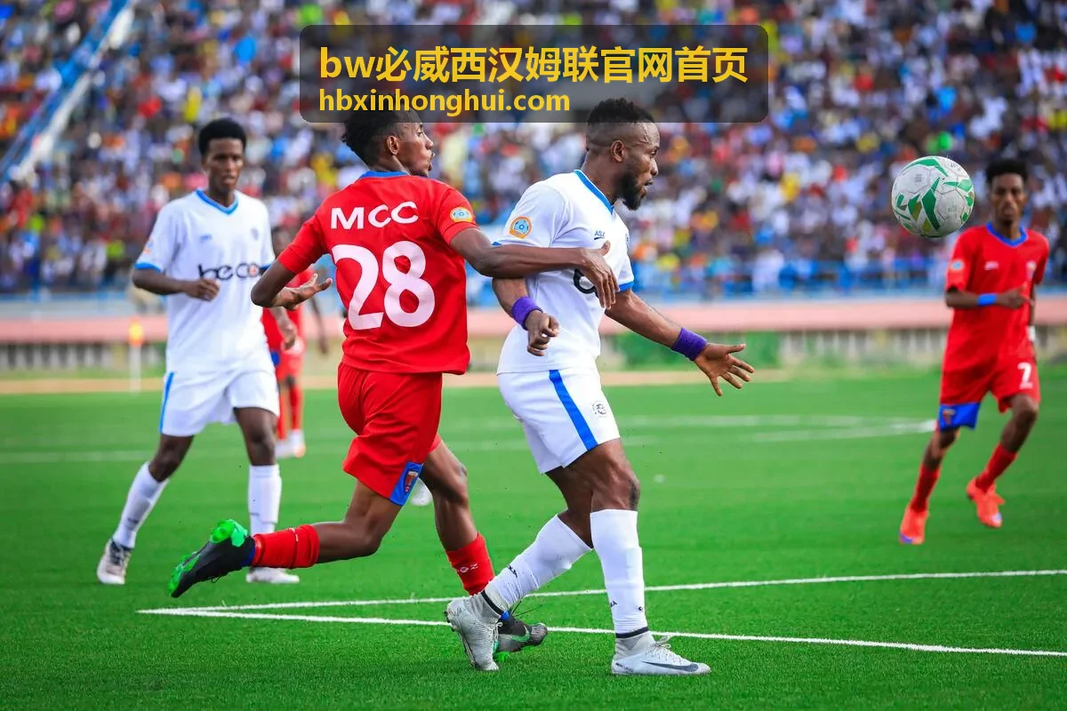 bw必威西汉姆联官网首页数据分析方法栏目封面